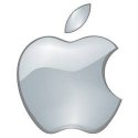 Fundas Apple iPad